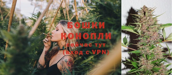 стаф Беломорск