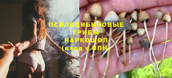 стаф Беломорск