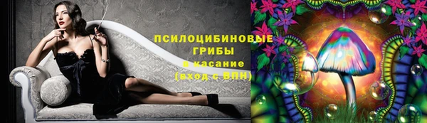 стаф Беломорск