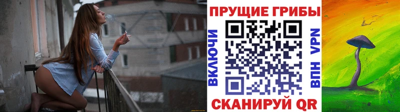 Галлюциногенные грибы мицелий  Волжск 
