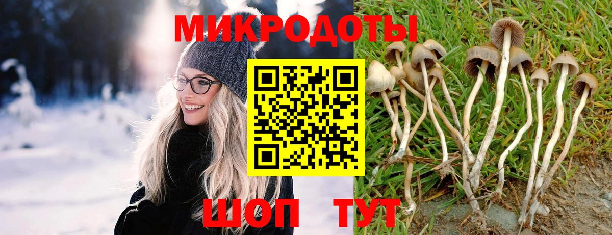 Галлюциногенные грибы ЛСД  Галлюциногенные грибы Magic Shrooms  Вход с VPN  Волжск 