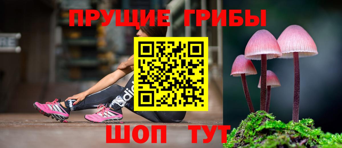 Галлюциногенные грибы Psilocybe Волжск